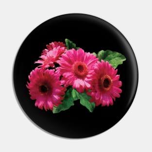 Daisies - Dark Pink Gerbera Daisies Pin