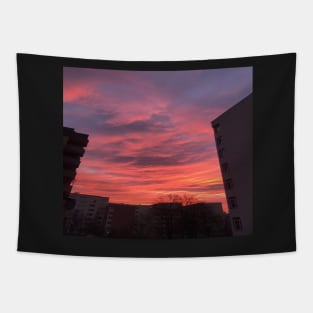 Pinky dream Tapestry