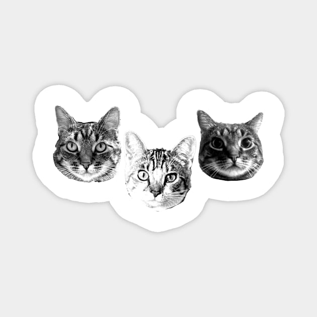 Brooke's Cats Magnet by Piecing It Together
