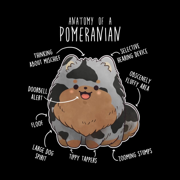 Blue Merle Pomeranian Dog Anatomy by Psitta