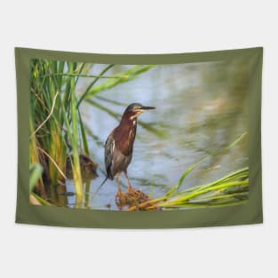 Green Heron Standing Tall Tapestry