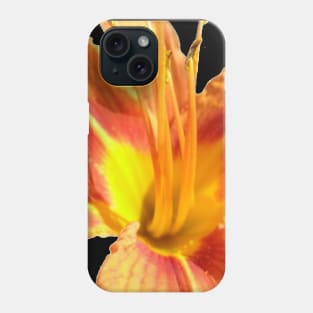 Beautiful photograph of an orange lily flower Phone Case