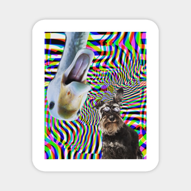 Trippy animals Magnet by Electricsquiggles 