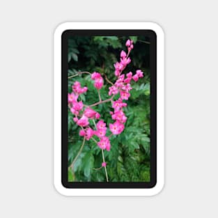 Coral Vine Magnet