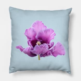 Tulipa 'Blue Parrot' Parrot Group Tulip Pillow