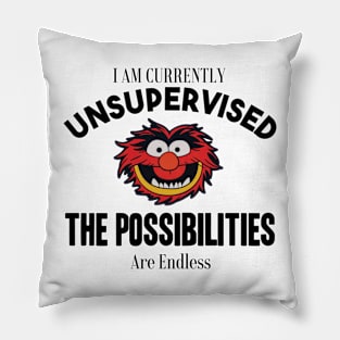 I am currently unsupervised I know it freaks me out too but possibilities are endless Pillow