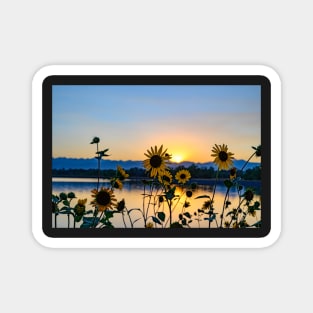 Wildflower Sunset Magnet