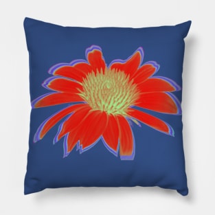 Red Hot Daisy Pillow