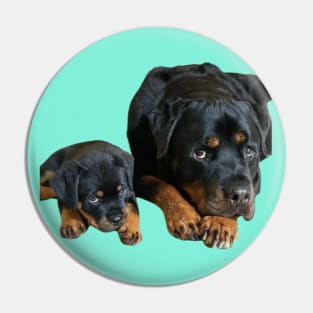 "Loyal Bond: Rottweiler Mothering" Pin