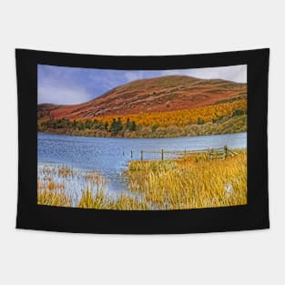 Lake District Autumn at Loweswater and Darling Fell Tapestry