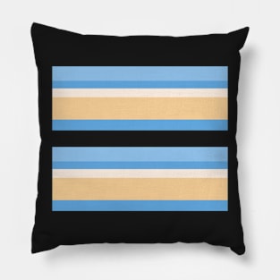 GROOVY RETRO BEACH PALETTE THEMED STRIPE PATTERN Pillow