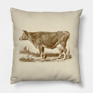 Jersey Cow Vintage Illustration Pillow