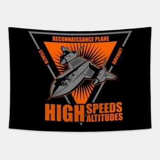 high speeds and altitudes AIRCRAFT Tapestry