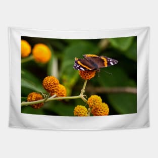 Beautiful Butterfly basking on Buddleia bush. Tapestry