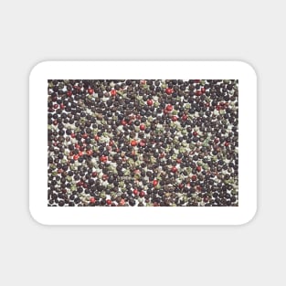 Color pepper background Magnet