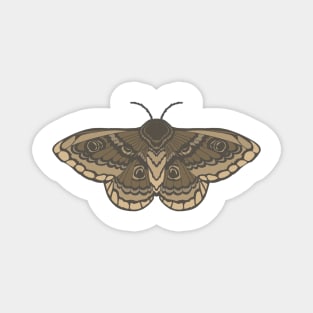 Brown Simplistic Moth Magnet