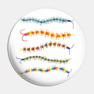 Colorwheel Centipede Pin