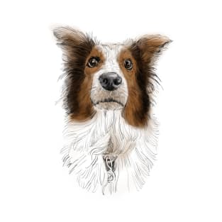 Australian Shepard, Aussie T-Shirt