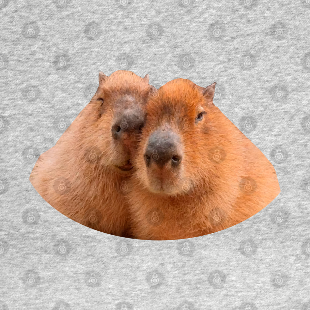 Discover Capybara Best Friend - Capybara - T-Shirt