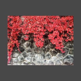 Pink red ivy leaves autumn stone wall nature fall photo T-Shirt
