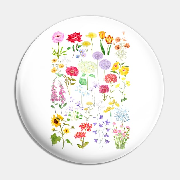 colorful botanical flowers collection 2020 Pin by colorandcolor