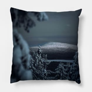 Winter's Beauty Pillow