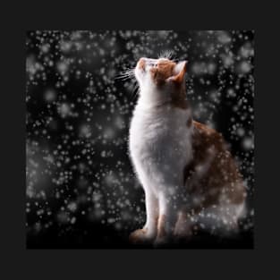 Cat, Snowy Night T-Shirt