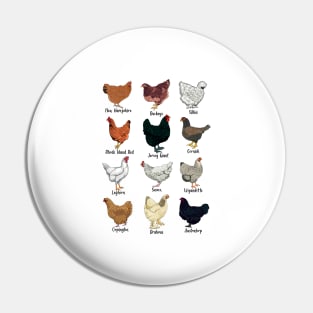 Different chickens - chicken breeds Pin