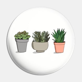 Potted Succulents Pin