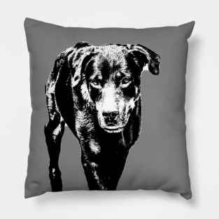 rottweiler Pillow