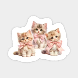 Coquette Cute Kittens with Pink Bows Magnet