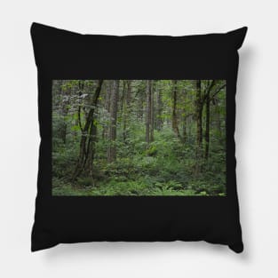 The Forest Pillow