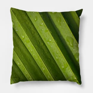 Water droplets Pillow