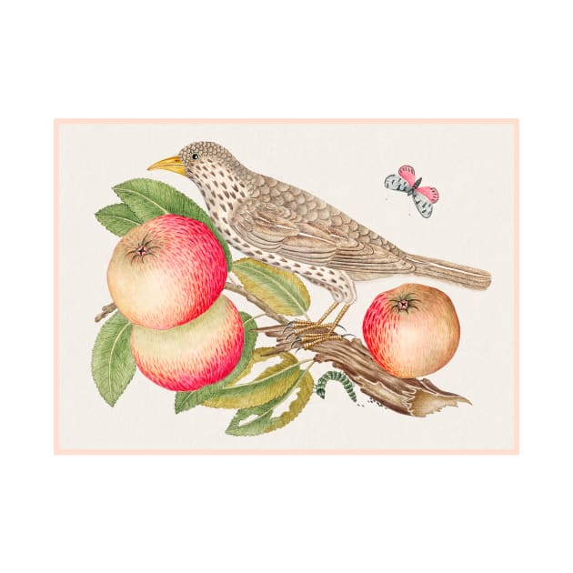 Brown Bird on Apple Branch with Caterpillar (18th Century) by WAITE-SMITH VINTAGE ART