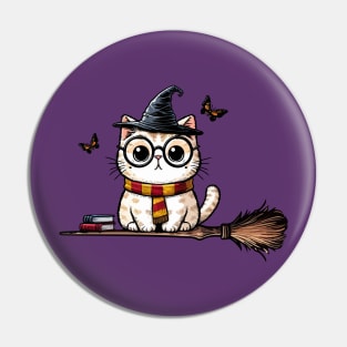 Witch cat fly on broom Pin