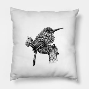 Rufous-tailed Jacamar Pillow