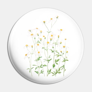 white black-jack flowers watercolor painting Pin