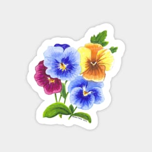 Pansy Flowers Magnet