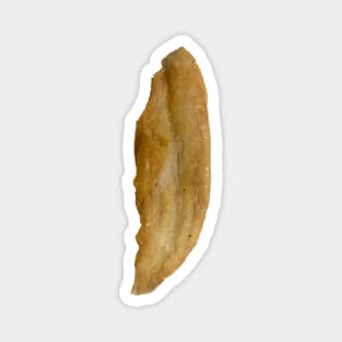 isolated fried FISH FILLET Magnet