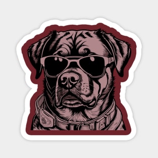 Rottweiler with sunglasses Magnet