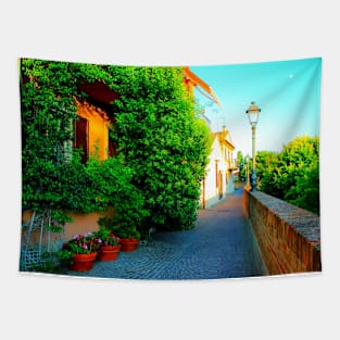 Street in Sirolo Tapestry