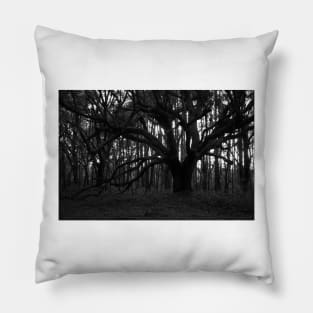 Dark Forest Pillow