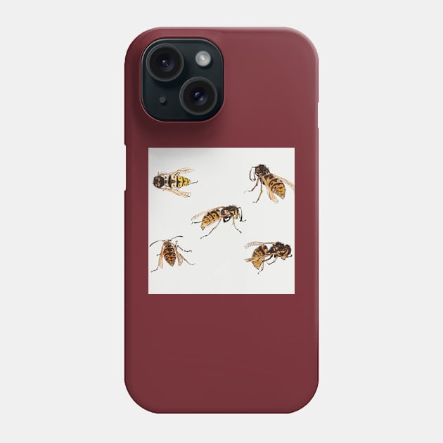 Studies of wasps by Julie de Graag (1877-1924). Phone Case by Rosettemusicandguitar