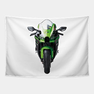 ZX10R Bike Front View Illustration Tapestry