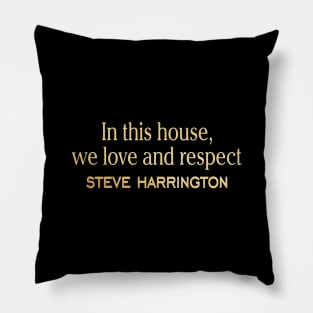 In this house, steve Pillow