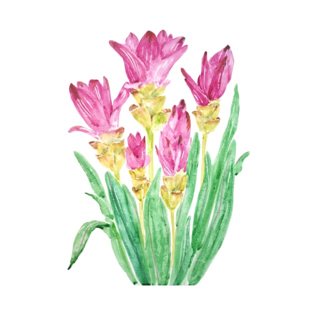 siam flowers watercolor painting by colorandcolor
