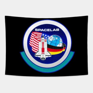 Black Panther Art - NASA Space Badge 20 Tapestry