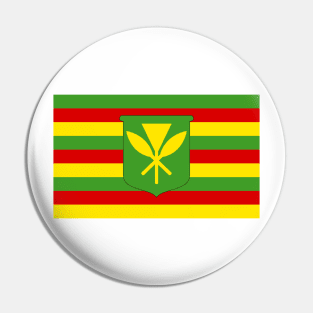 Kanaka Maoli Flag Pin