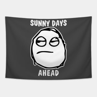 Sunny Days Ahead Meh Whatever Tapestry