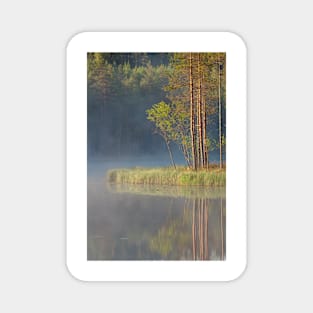 Forest reflecting to small lake at summer morning Magnet